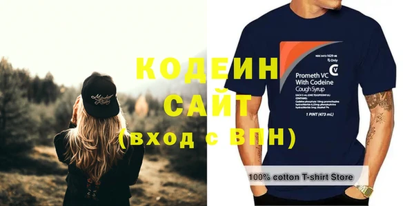 2c-b Рославль