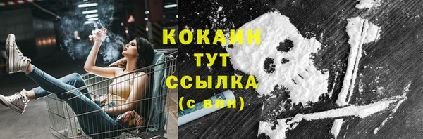 2c-b Рославль