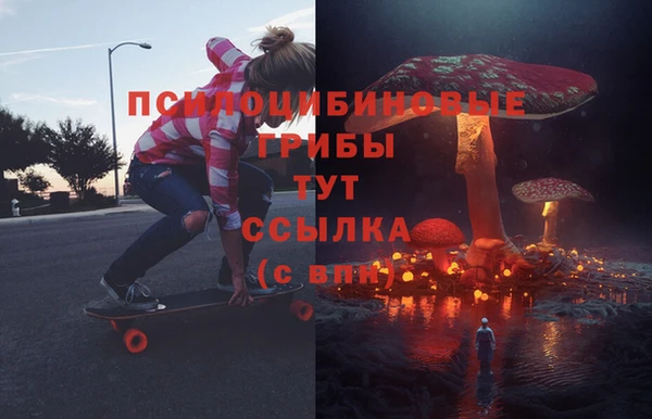 2c-b Рославль