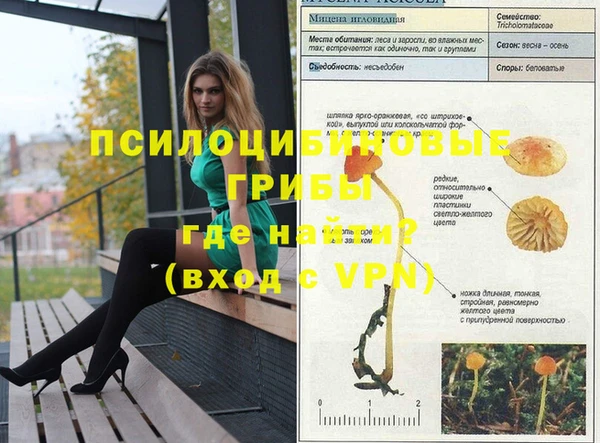 2c-b Рославль