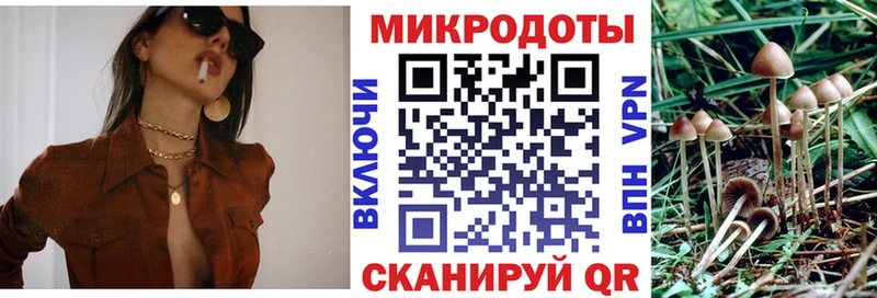 купить   Новотитаровская  Псилоцибиновые грибы ЛСД 